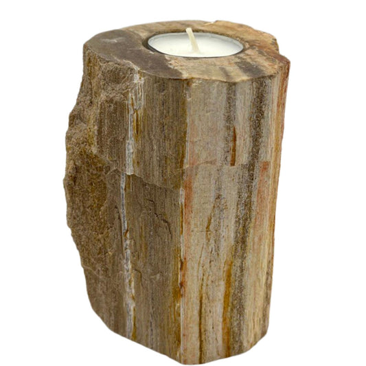 Petrified Wood Candle Holder.