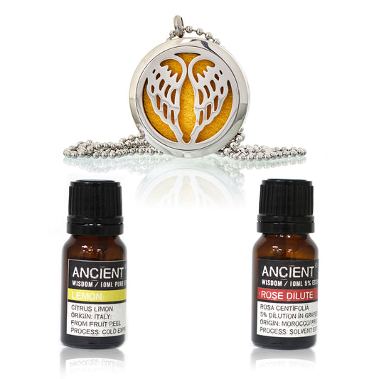 Diffuser Necklace and Essential Oils Set.