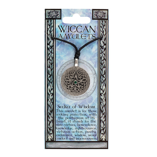 Seeker of Wisdom Wiccan Amulet Necklace.