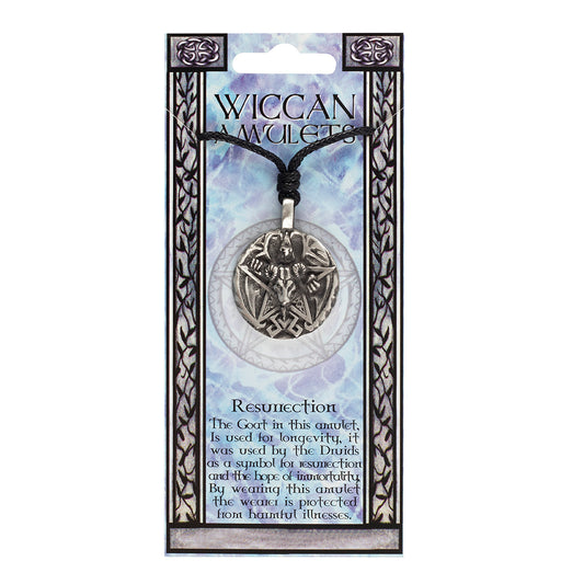 Resurrection Wiccan Amulet Necklace.